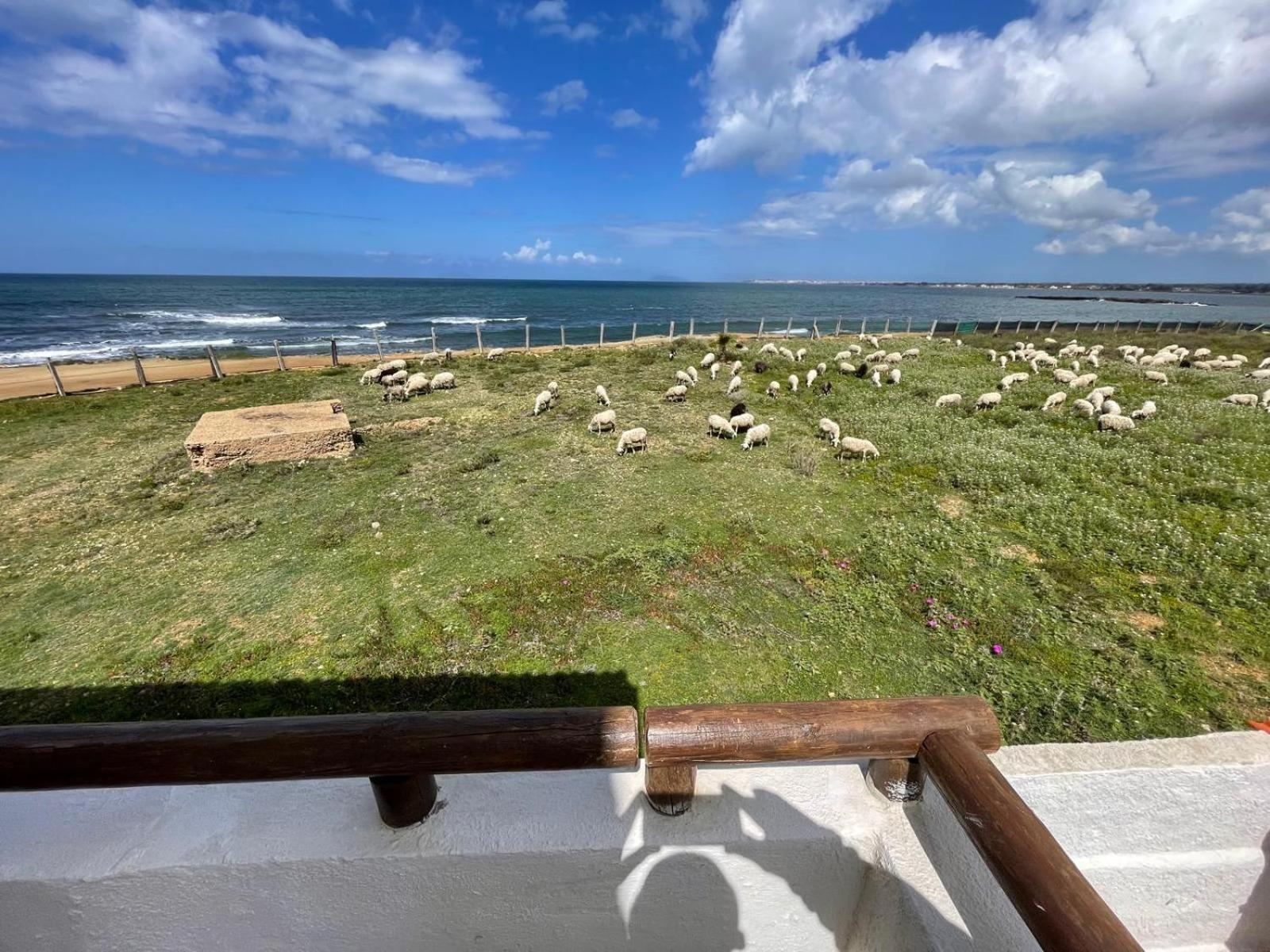 Casa Al Mare Con Splendida Vista Sul Mare Villa Petrosino Kültér fotó